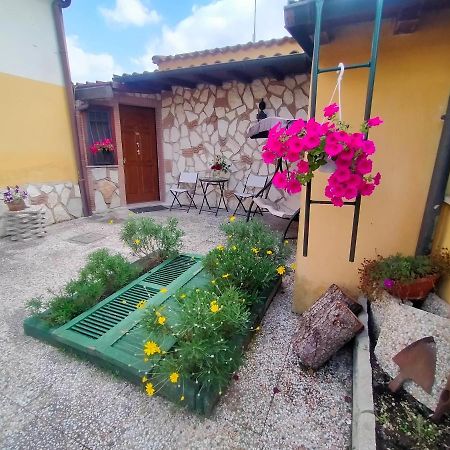 Civico Ventitre Apartment Mentana Екстериор снимка